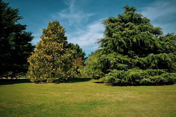 Village Park Tandil Exterior foto